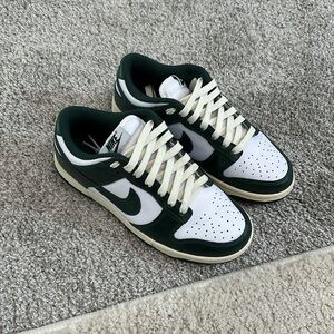 Brand New Nike Dunks